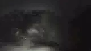 Patėvis išsiskyrė su ...